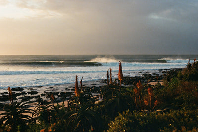 Field Trip | J-Bay