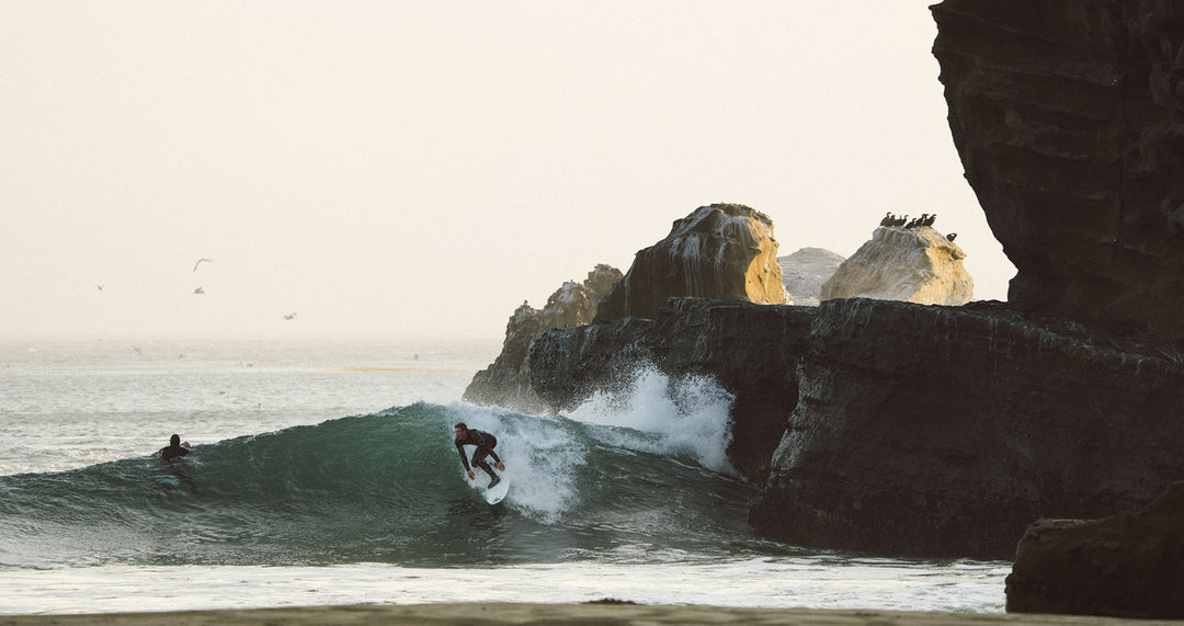 FIELD TRIP: NOR CAL