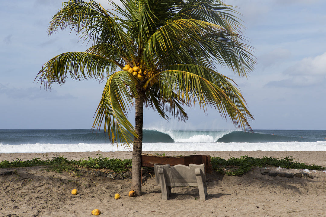 Nicaragua Field Trip
