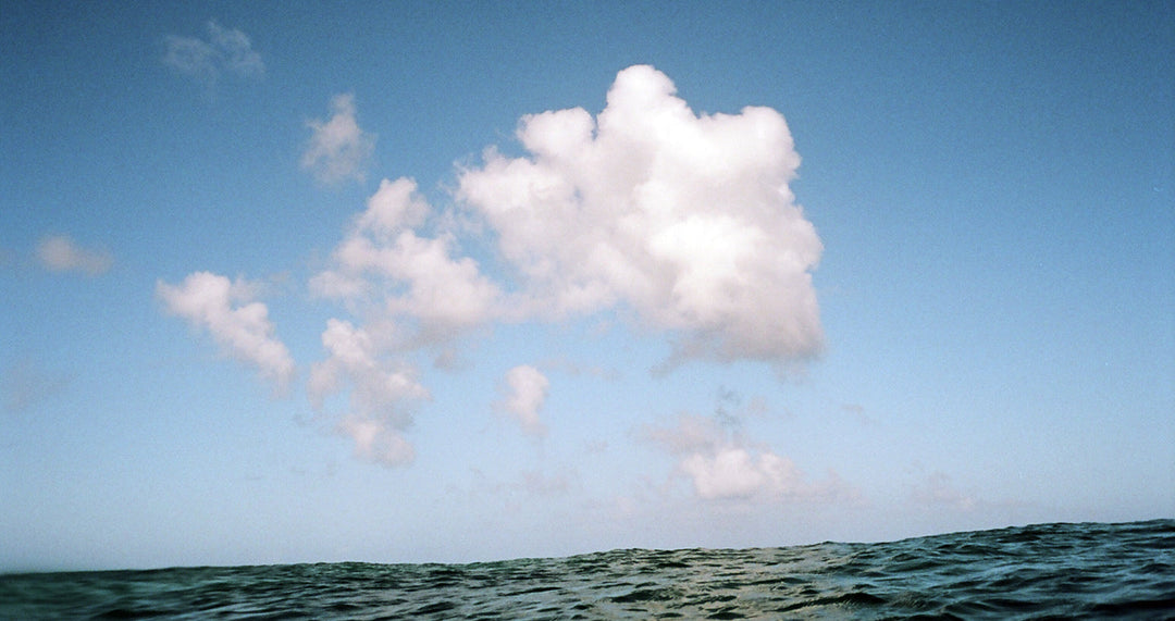 Q+A with Nikonos Project 