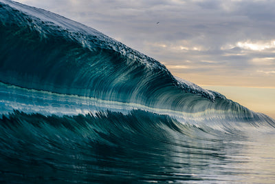 Waves | Sam Farkas